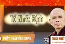 Tổ Nhất Định – Thích Nhất Hạnh to nhat dinh thich nhat hanh