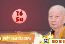 Tổ Sư – Thích Trí Quảng to su thich tri quang
