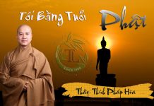 Tôi Bằng Tuổi Phật (Vấn Đáp ) – Thích Pháp Hòa toi bang tuoi phat van dap thich