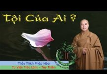 Tội Của Ai – Thích Pháp Hòa toi cua ai thich phap hoa