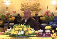 Tôn Kính Pháp Bảo – Thích Pháp Hòa ton kinh phap bao thich phap hoa