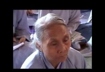 Tổng Quan Trong Kinh Pháp Hoa Phần 2 – Thích Trí Huệ tong quan trong kinh phap hoa ph 1