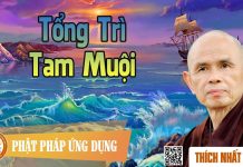 Tổng Trì Tam Muội – Thích Nhất Hạnh tong tri tam muoi thich nhat han