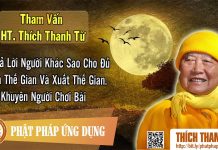 Trả Lời Sao Cho Đủ Nghĩa Thế Gian Và Xuất Thế Gian, Khuyên Người Chơi Bài – Tham vấn HT Thanh Từ 14 tra loi sao cho du nghia the gia