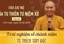 Trải Nghiệm Về Chánh Niệm – Thích Tâm Đức trai nghiem ve chanh niem thich