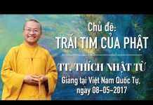 Trái Tim Của Phật – Thích Nhật Từ trai tim cua phat thich nhat tu