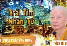 Trái Tim Nhân Từ – Thích Trí Quảng trai tim nhan tu thich tri quang