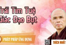 Trái Tim Tuệ Giác Đạo Bụt – Thích Nhất Hạnh trai tim tue giac dao but thich