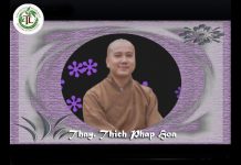 Trân Quý Các Duyên – Thích Pháp Hòa tran quy cac duyen thich phap ho