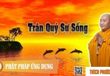 Trân Quý Sự Sống – Thích Phước Tiến tran quy su song thich phuoc tie