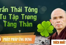 Trần Thái Tông (tt) – Tu Tập Trong Tăng Thân – Thích Nhất Hạnh tran thai tong tt tu tap trong t