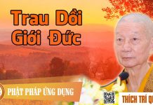 Trau Dồi Giới Đức – Thích Trí Quảng trau doi gioi duc thich tri quan