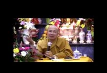 Trâu Kéo Cộ Không Phần 2 – Thích Trí Huệ trau keo co khong phan 2 thich t