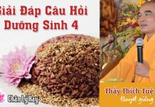 Trị Bệnh Bằng Phương Pháp Gạo Lức Muối Mè 4 – Thích Tuệ Hải tri benh bang phuong phap gao lu 1
