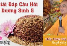 Trị Bệnh Bằng Phương Pháp Gạo Lức Muối Mè 5 – Thích Tuệ Hải tri benh bang phuong phap gao lu 2
