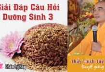 Trị Bệnh Bằng Phương Pháp Gạo Lức Muối Mè 3 – Thích Tuệ Hải tri benh bang phuong phap gao lu 3