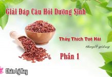 Trị Bệnh Bằng Phương Pháp Gạo Lức Muối Mè 1 – Thích Tuệ Hải tri benh bang phuong phap gao lu 4
