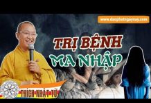 Trị bệnh ma nhập – phần 1/2 – Thích Nhật Từ tri benh ma nhap phan 1 2 thich