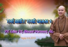 Trí biết thế gian phần 1 – Thích Pháp Hòa tri biet the gian phan 1 thich p
