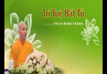 Trí Tuệ Bất Tử – Thích Minh Thành tri tue bat tu thich minh thanh