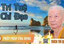Trí Tuệ Chỉ Đạo – Thích Trí Quảng tri tue chi dao thich tri quang