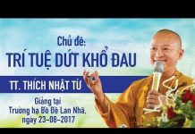 Trí Tuệ Dứt Khổ Đau – Thích Nhật Từ tri tue dut kho dau thich nhat t