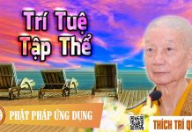 Trí Tuệ Tập Thể – Thích Trí Quảng tri tue tap the thich tri quang