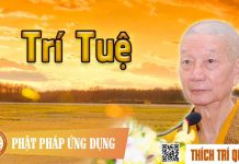 Trí Tuệ – Thích Trí Quảng tri tue thich tri quang