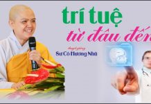 Trí Tuệ Từ Đâu Đến – Thích Nữ Hương Nhũ tri tue tu dau den thich nu huon
