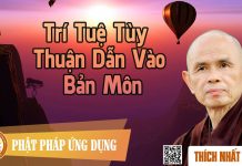 Trí Tuệ Tùy Thuận Dẫn Vào Bản Môn – Thích Nhất Hạnh tri tue tuy thuan dan vao ban mo
