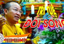 Trí tuệ và đời sống (07-07-2007) – Thích Nhật Từ tri tue va doi song 07 07 2007 t