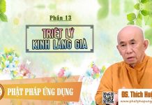 Triết Lý Kinh Lăng Già Phần 13 – Thích Huệ Đăng triet ly kinh lang gia phan 13 t