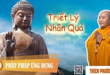 Triết Lý Nhân Quả – Thích Phước Tiến triet ly nhan qua thich phuoc ti