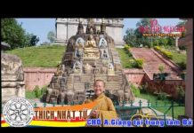 Triết lý qua ngụ ngôn con chó A – TT.Thích Nhật Tư triet ly qua ngu ngon con cho a