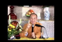 Triết Lý Thân Cây – Thích Trí Huệ triet ly than cay thich tri hue