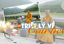 Triết lý về con heo (21-01-2007) – Thích Nhật Từ triet ly ve con heo 21 01 2007 t