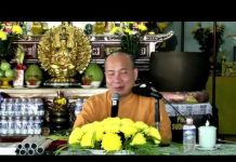 Trợ Duyên Trợ Lực Và Công Hạnh Tu Hành – Thích Trí Huệ tro duyen tro luc va cong hanh t