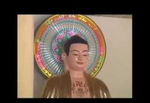 Trở Về Cát Bụi – Thích Nữ Như Lan tro ve cat bui thich nu nhu lan