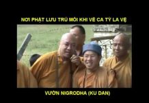 Trở Về Chốn Xưa 5 – Thích Nguyên Hạnh tro ve chon xua 5 thich nguyen h
