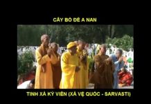 Trở Về Chốn Xưa 6 – Thích Nguyên Hạnh tro ve chon xua 6 thich nguyen h