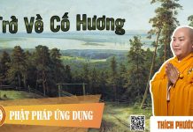 Trở Về Cố Hương – Thích Phước Tiến tro ve co huong thich phuoc tien