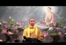 Trở Về Cội Gốc – Thích Minh Thành tro ve coi goc thich minh thanh