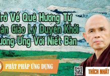 Trở Về Quê Hương Tự Thân – Giáo Lý Duyên Khởi Tương Ưng Với Niết Bàn tro ve que huong tu than giao ly