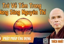 Trở Về Tắm Trong Dòng Sông Nguyên Thỉ – Thích Nhất Hạnh tro ve tam trong dong song nguye