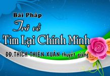 Trở Về Tìm Lại Chính Mình – Thích Thiện Xuân tro ve tim lai chinh minh thich 2