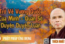Trở Về Vương Quốc Của Mình – Quán Sở Duyên Duyên Luận – Thích Nhất Hạnh tro ve vuong quoc cua minh quan