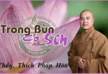 Trong Bùn Có Sen – Thích Pháp Hòa trong bun co sen thich phap hoa