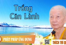 Trồng Căn Lành – Thích Trí Quảng trong can lanh thich tri quang