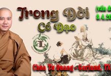 Trong Đời Có Đạo (Vấn Đáp) – Thích Pháp Hòa trong doi co dao van dap thich p