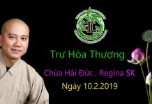Trư Hoà Thượng – Thích Pháp Hòa tru hoa thuong thich phap hoa